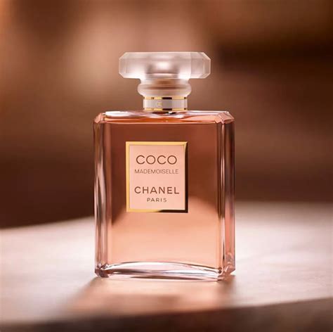 porn star coco chanel perfume|9 Best Chanel Perfumes for Women and Men in 2024, According .